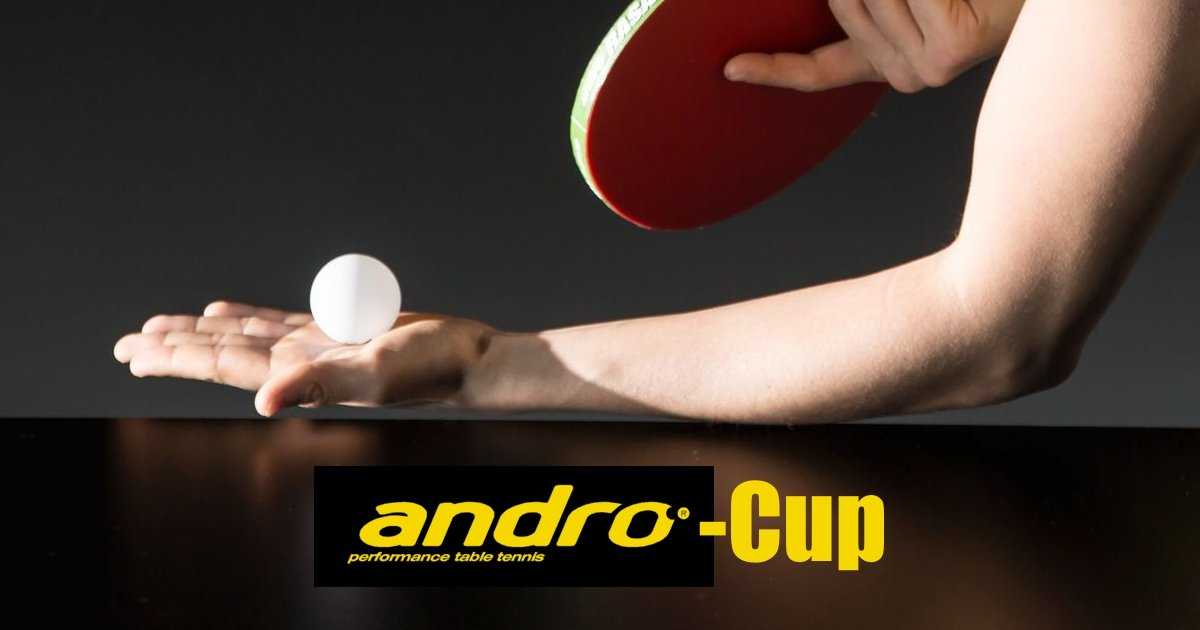 Andro Cup 2018